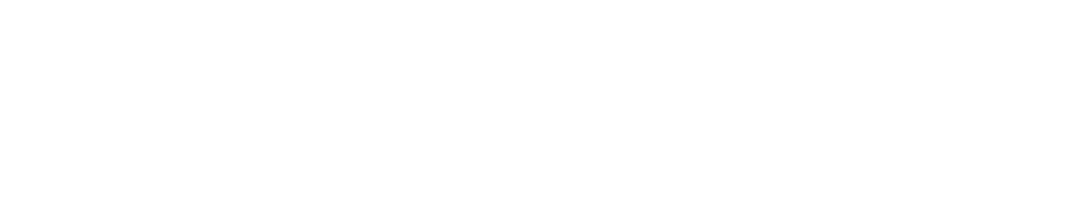 DeepSeek